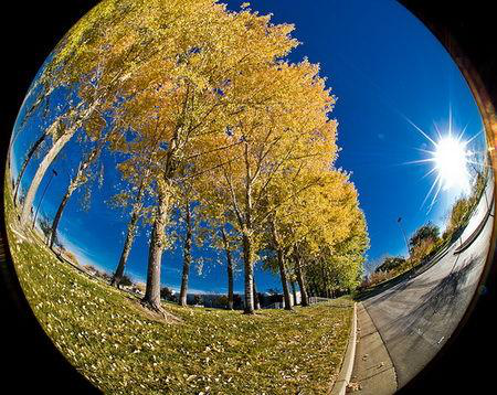 大视场均匀光源(图3) 大视场均匀光源(图3)